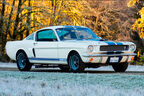 Shelby GT 350 Fastback (1966)
