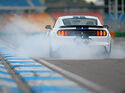 Shelby GT350 Mustang, Heckansicht