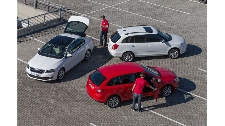 Skoda Rapid Spaceback Octavia Und Fabia Die Goldene Mitte Auto Motor Und Sport