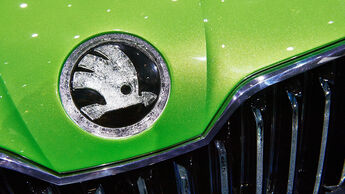 Skoda Logo, Genfer Autosalon, Messe 2014