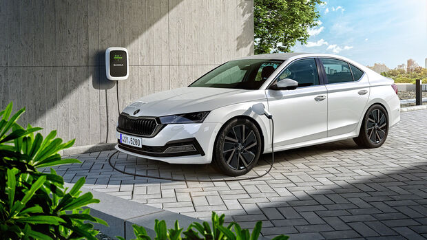 Skoda Octavia Sperrfrist 11.11.2019 , 19 Uhr