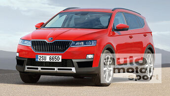 Skoda Snowman