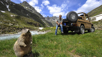 Steyr Puch 240 GD