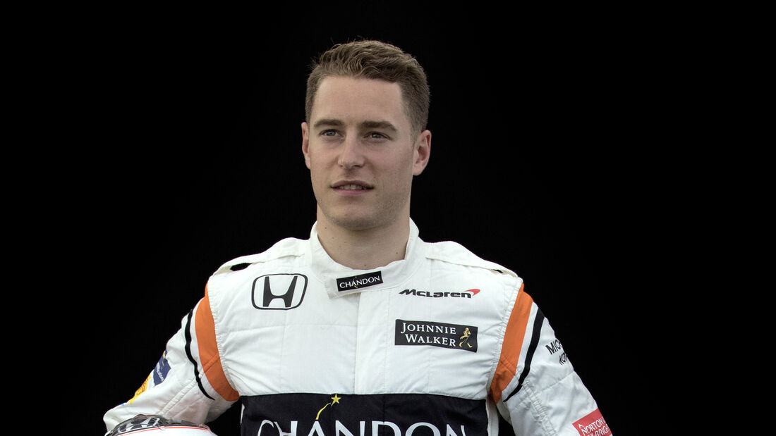 Stoffel Vandoorne - Porträt - Formel 1 - 2017