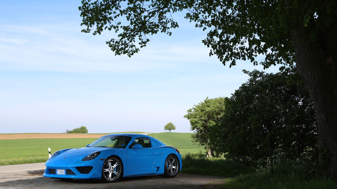 Studiotorino-Porsche Moncenisio, Seitenansicht