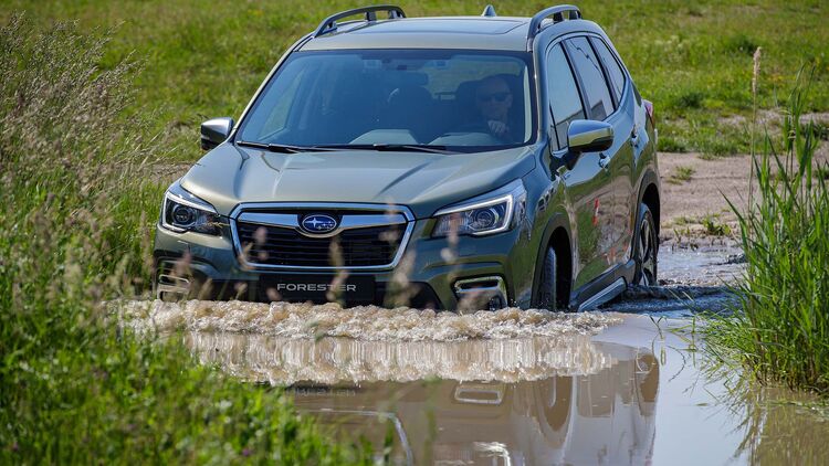 Subaru Forester E Boxer Fahrbericht Mit Preisen Und Daten Auto Motor Und Sport