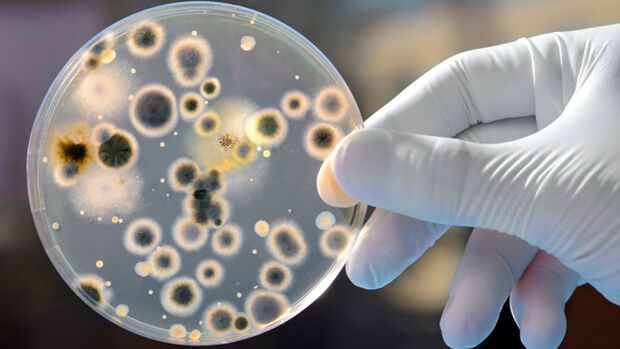 Sauberer Und Schmutziger Pollenfilter Für Ein Auto Stockbild - Bild von  mikrobe, entstörung: 195495555