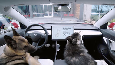 Tesla Dog Mode