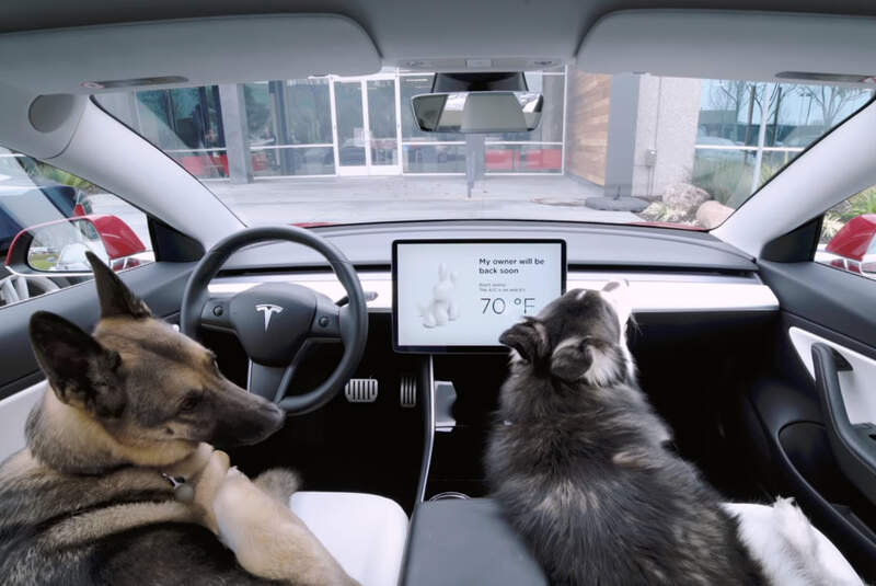 Tesla Dog Mode