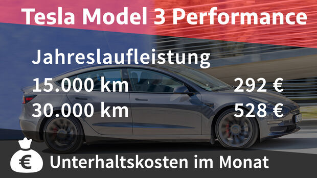 Tesla Model 3 Performance
