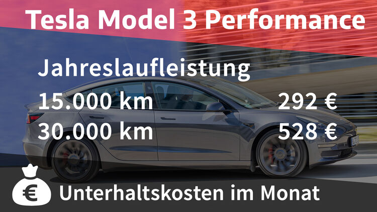 Unterhaltskosten Tesla Model 3  monatliche Kosten aller Fahrzeuge