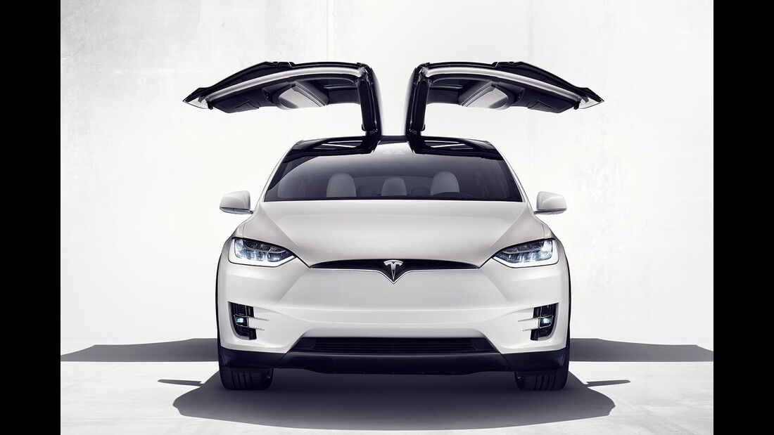 Tesla Model X Türen