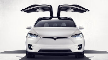 Tesla Model X Türen