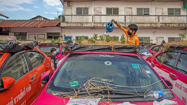 Thailand Taxi Gemüsegarten