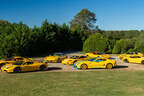 The Bachman Ferrari Collection Mecum Auction Kissimmee 2026