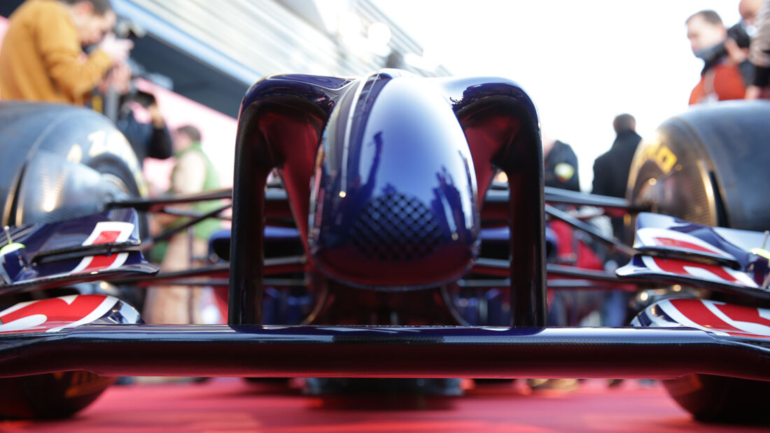 Toro Rosso - Nase - Formel 1 - Jerez-Test - 2014