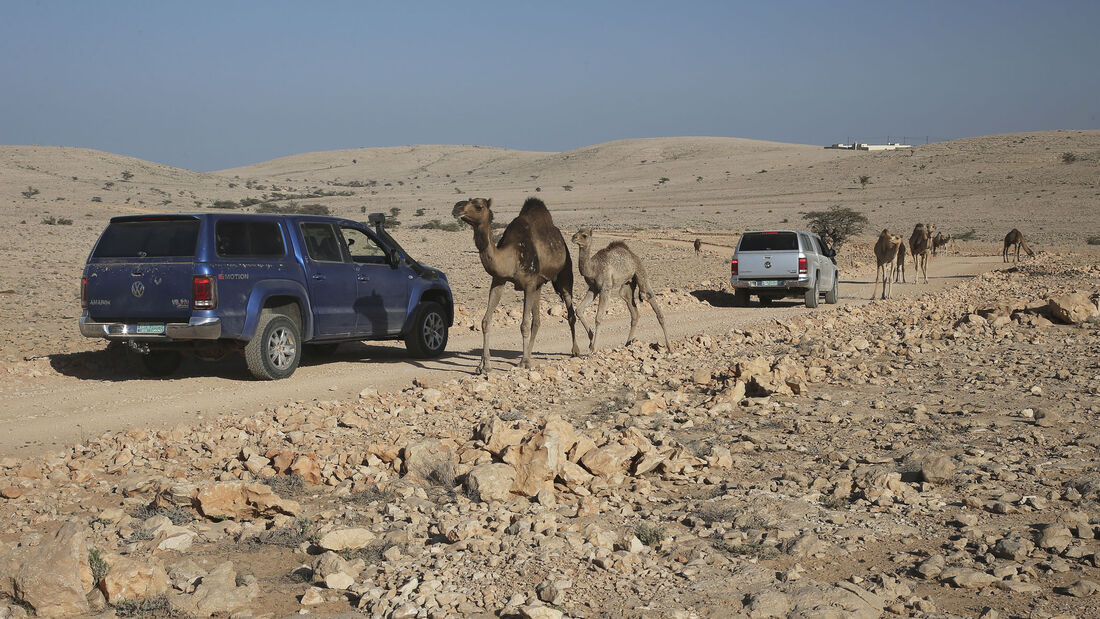 VW Amarok 190 kW Fahrbericht Oman 2018