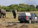 VW Amarok Botswana Okavangodelta