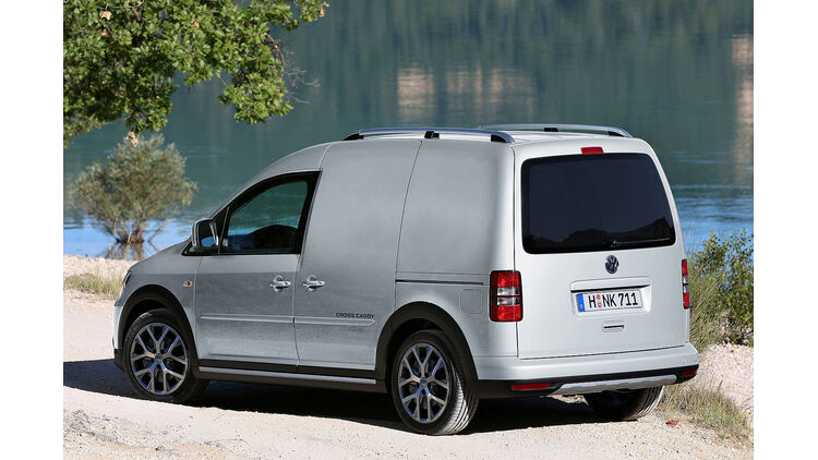 Berlingo Caddy Citan Und Co So Finden Sie Ihren Kleintransporter Auto Motor Und Sport