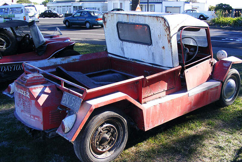 VW Terra