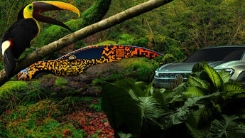 VW Tukan Dschungel Concept Namen Collage
