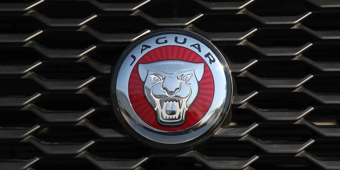 Best Of 90 2020 Jaguar Logo