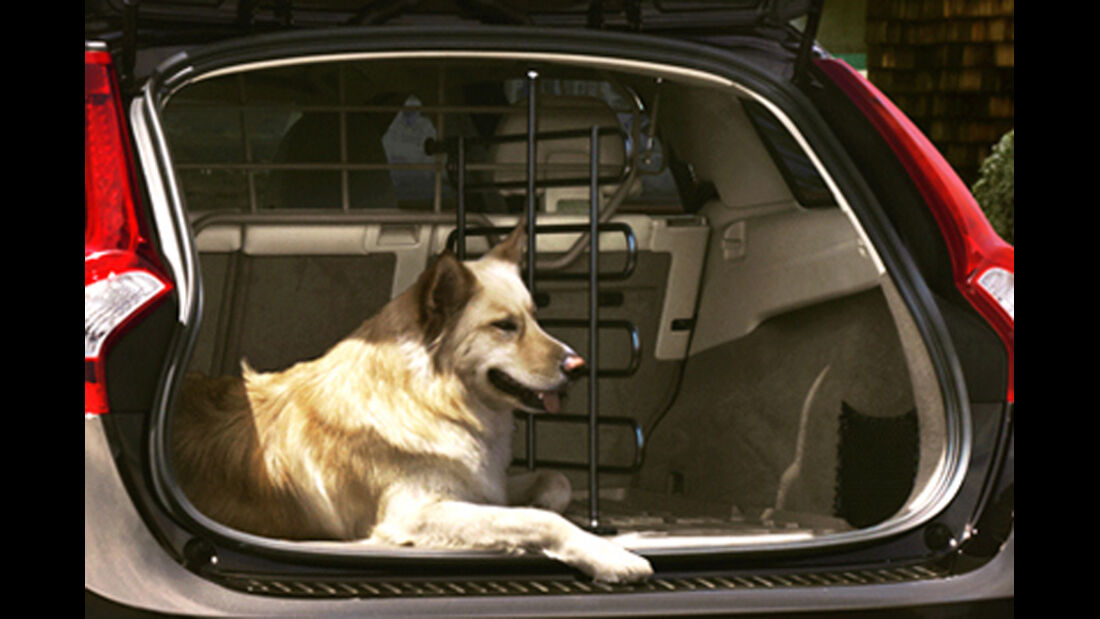 Volvo V60, Kofferraum, Hund