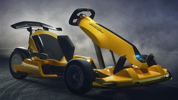 segway ninebot pro go kart