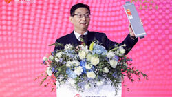 Xu Xingwu, Executive Vice President des Guoxuan High-Tech Engineering Research Institute