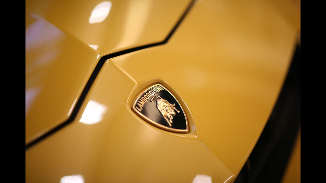 ams0119 S. 122 Lamborghini Urus Einzeltest