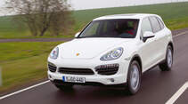 auto, motor und sport Leserwahl 2013: Kategorie I Gelände - Porsche Cayenne