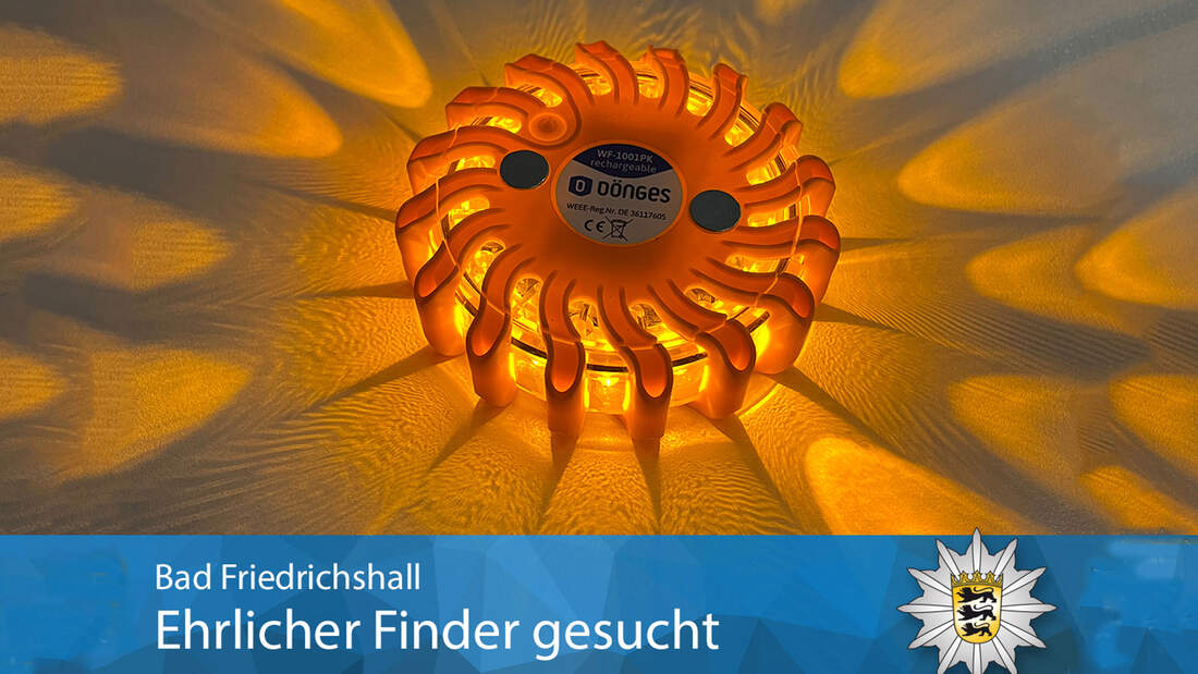 Schutzm-nner-eilten-Prinzessin-zur-Hilfe-Lump-beklaut-Polizei