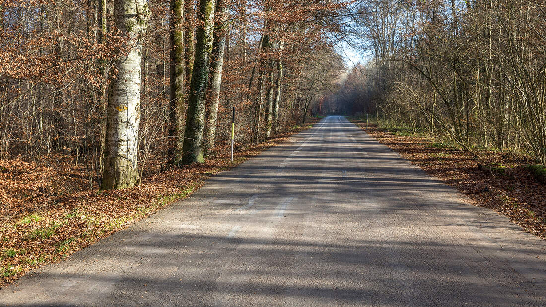 Bremgarten Rundstrecke Zahlen, Fakten und aktuelle Bilder AUTO MOTOR